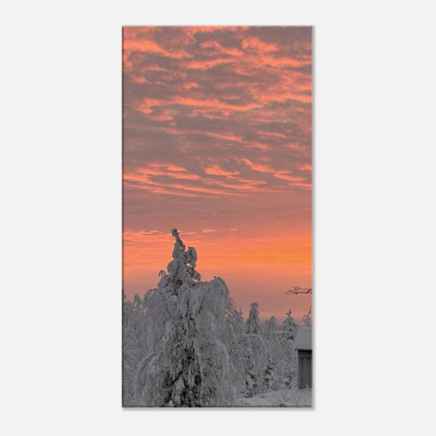 Nordisk vintersoluppgång canvas med magiskt ljus över snölandskap
