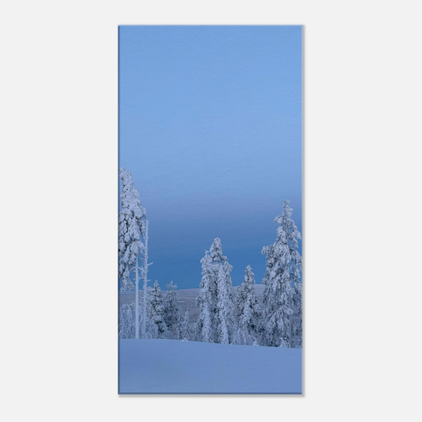 Nordisk vinterlandskap canvas med snötäckta träd i minimalistisk stil
