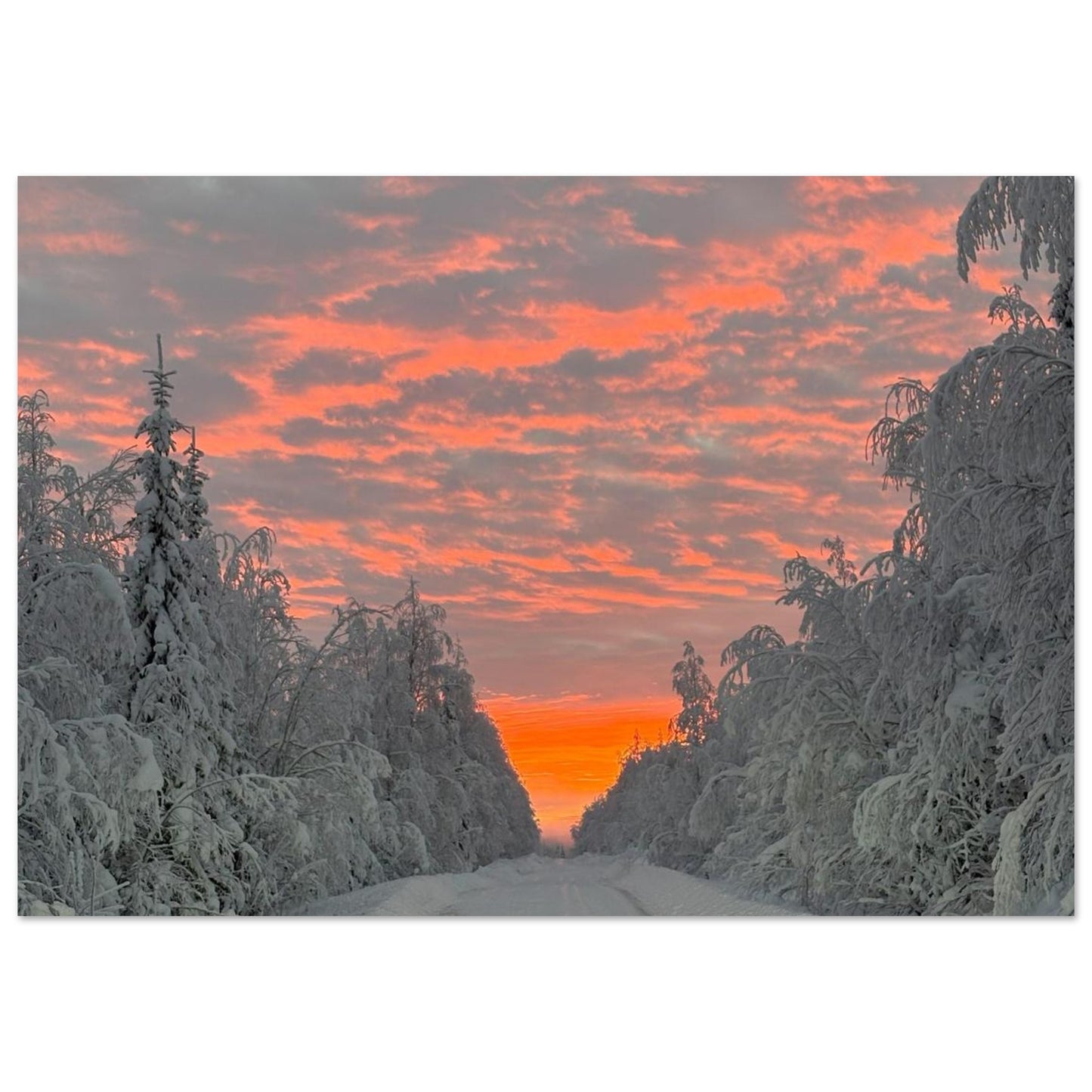 Nordisk soluppgång fine art poster med rika färger och 12-färgstryck
