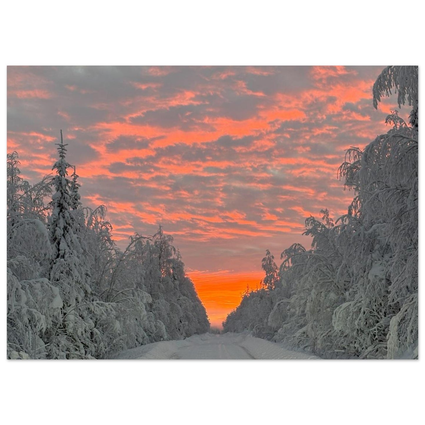 Nordisk soluppgång fine art poster med rika färger och 12-färgstryck
