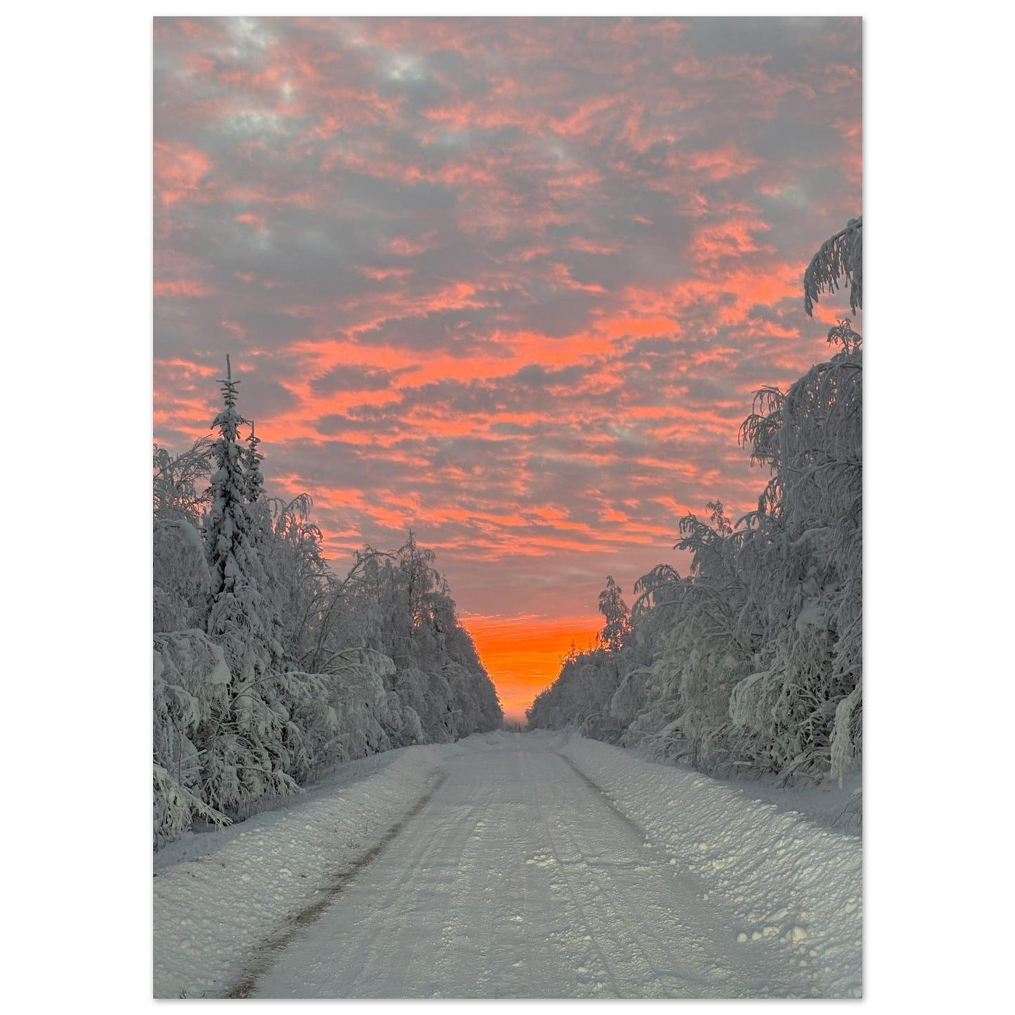 Nordisk soluppgång fine art poster med rika färger och 12-färgstryck
