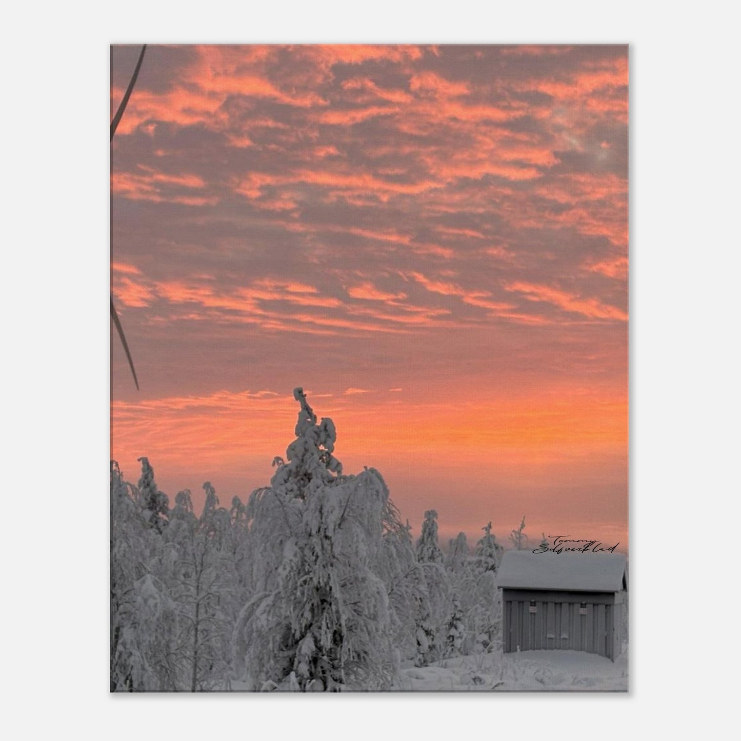 Nordisk vintersoluppgång canvas med magiskt ljus över snölandskap
