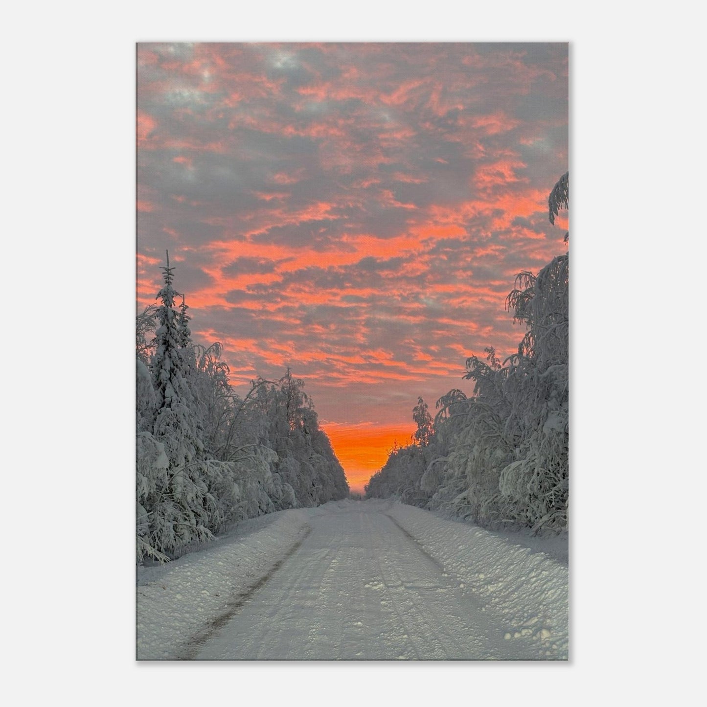 Nordisk soluppgång canvas med levande färger och varm morgonhimmel
