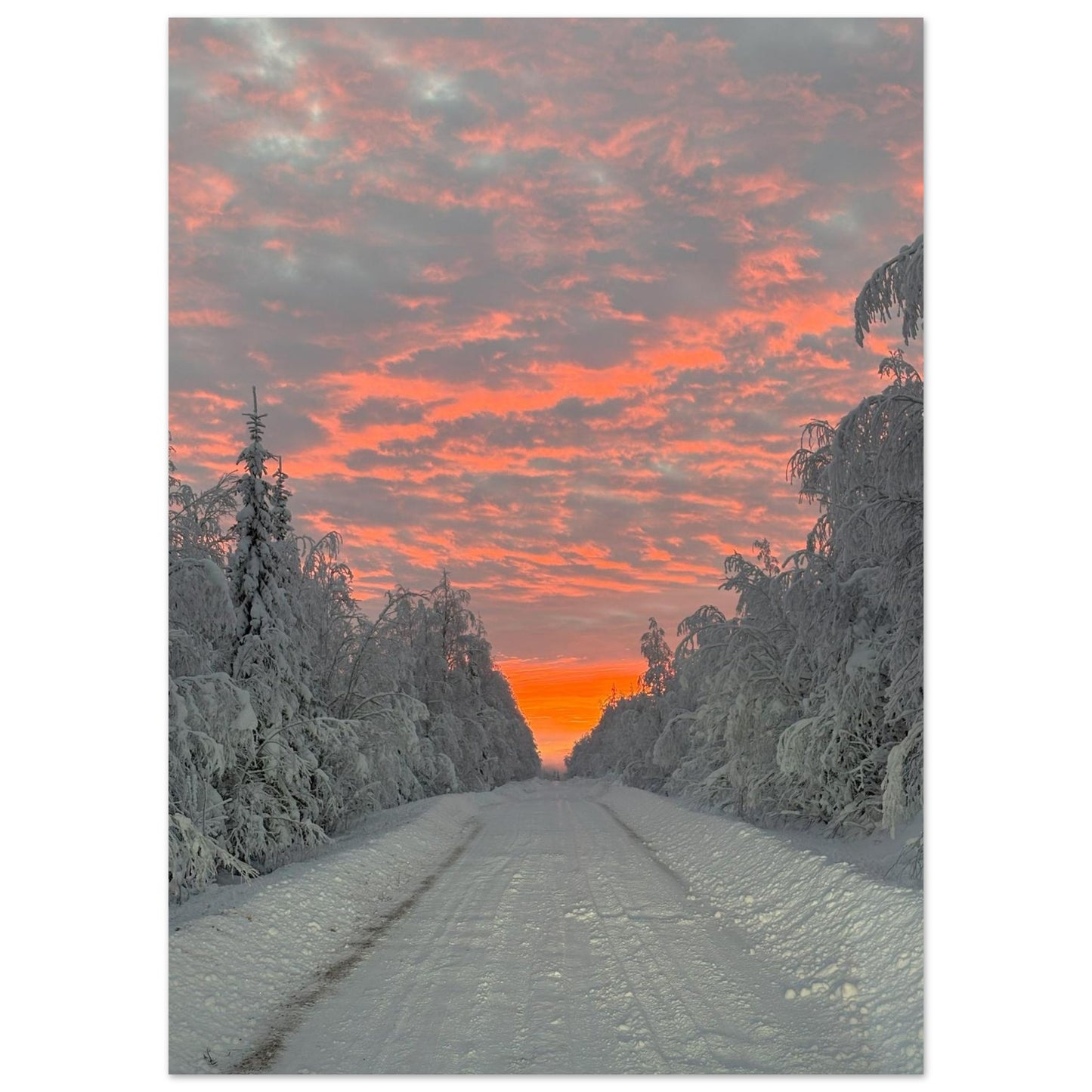 Nordisk soluppgång fine art poster med rika färger och 12-färgstryck
