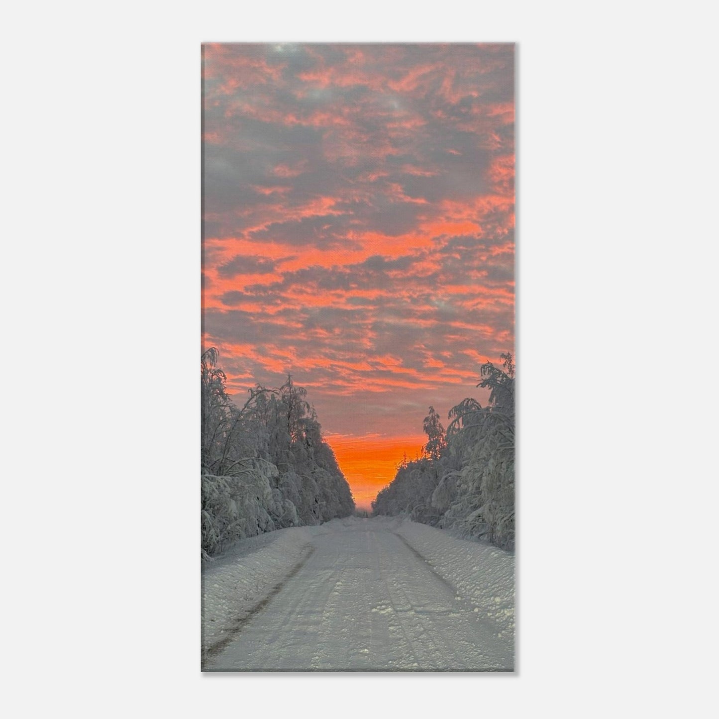 Nordisk soluppgång canvas med levande färger och varm morgonhimmel
