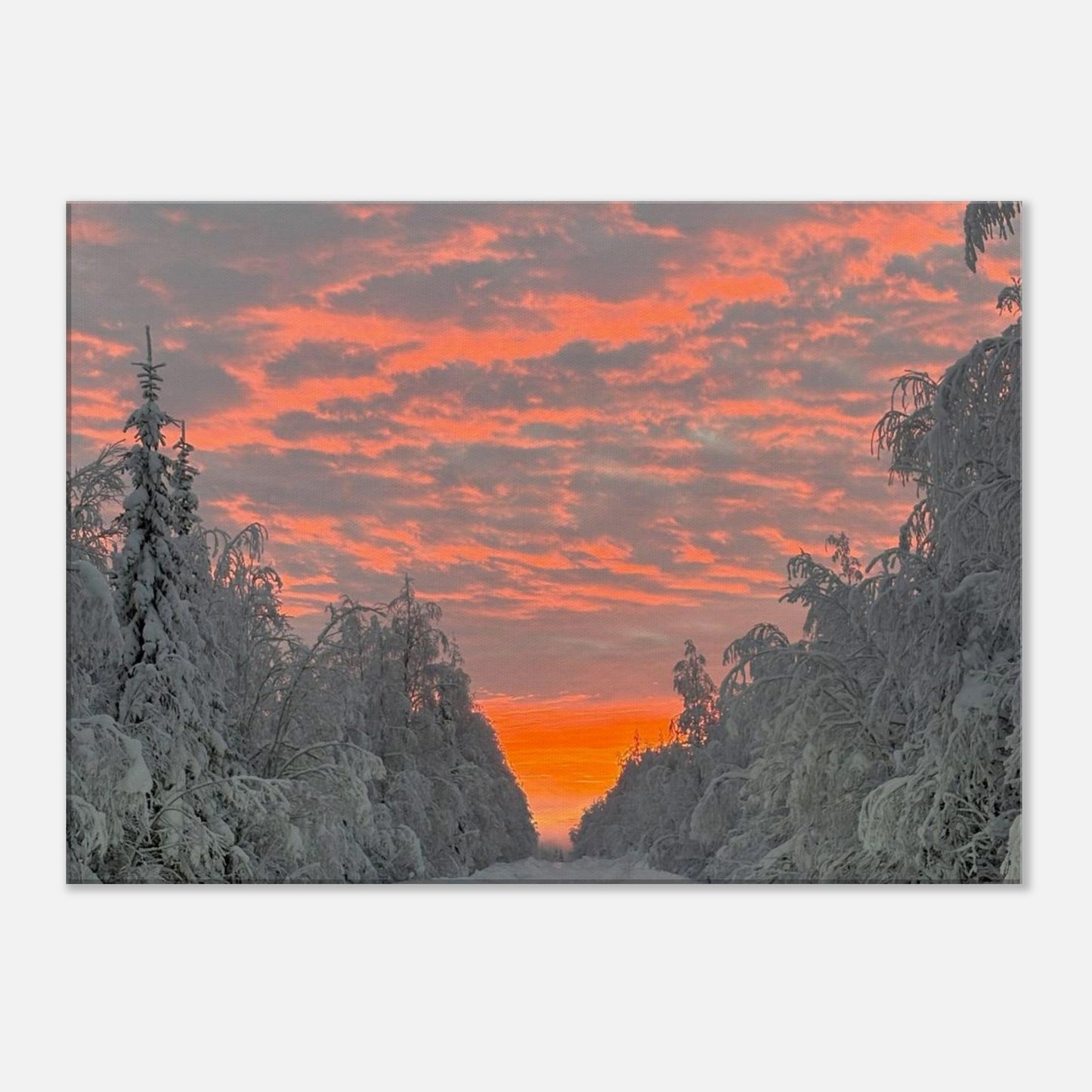 Nordisk soluppgång canvas med levande färger och varm morgonhimmel

