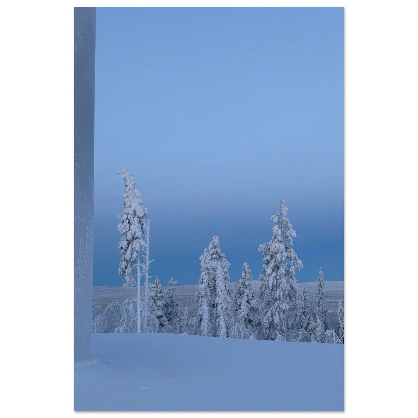 Nordisk vinterlandskap poster i museikvalitet med mjuka naturtoner
