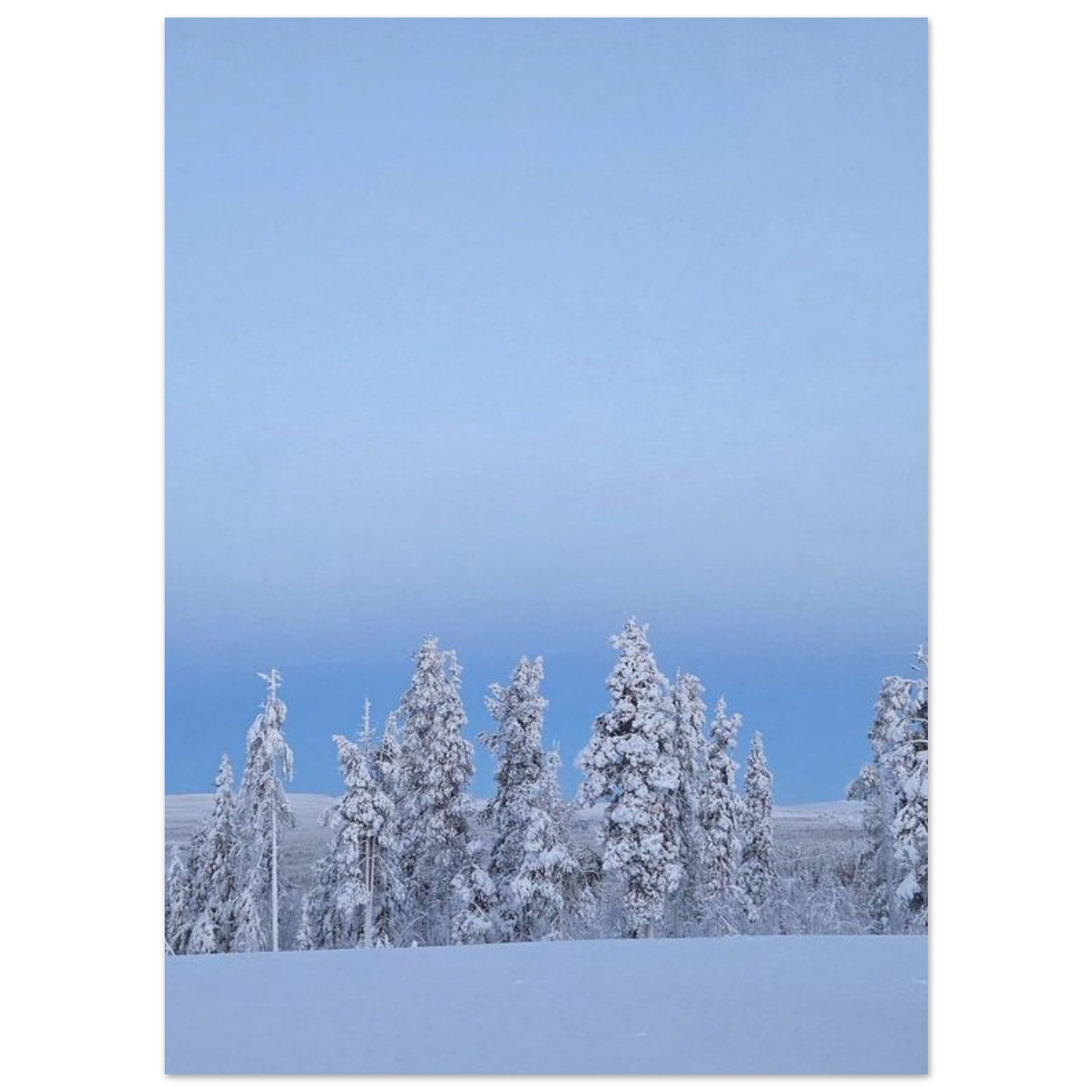 Nordisk snöträd poster i museikvalitet med minimalistisk estetik
