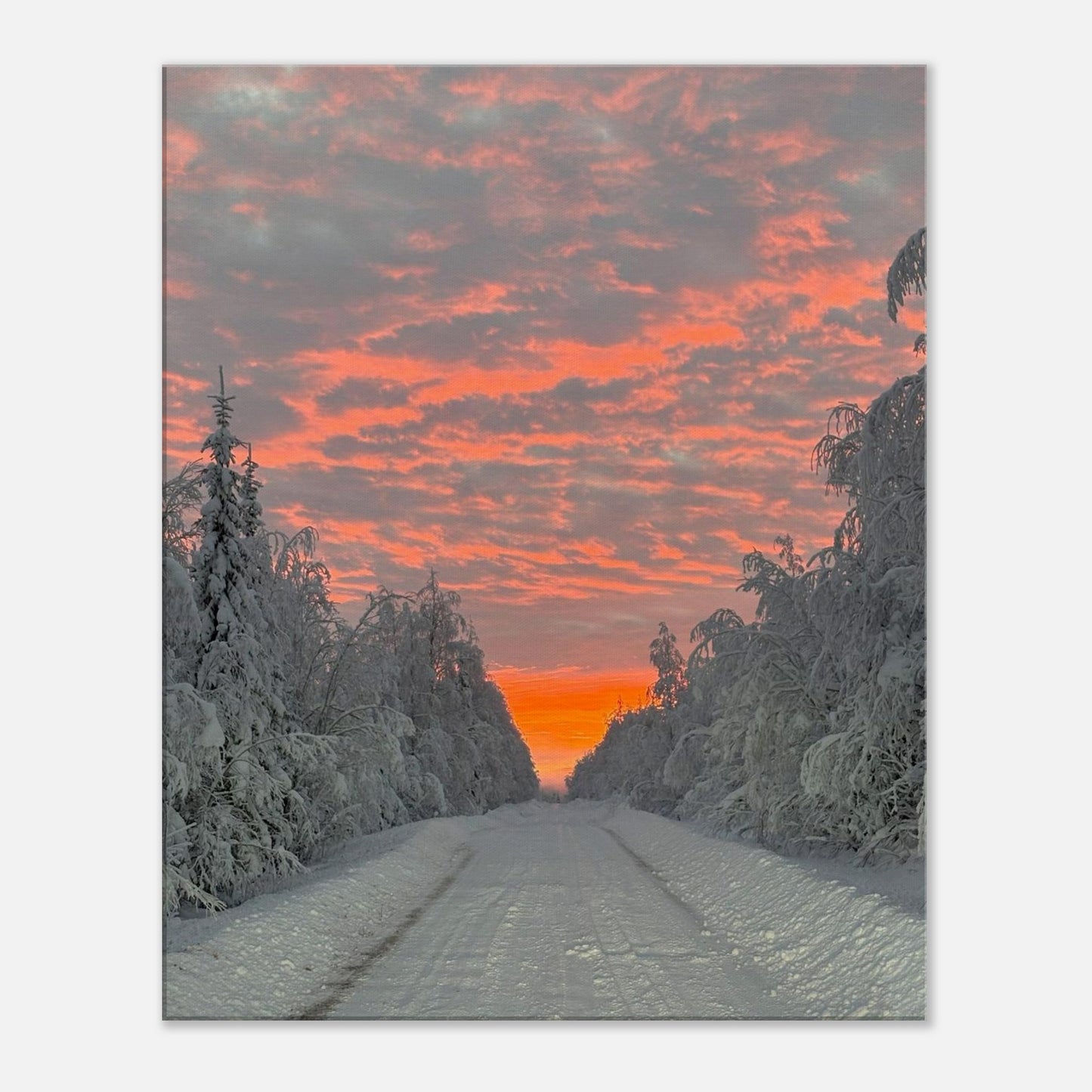 Nordisk soluppgång canvas med levande färger och varm morgonhimmel
