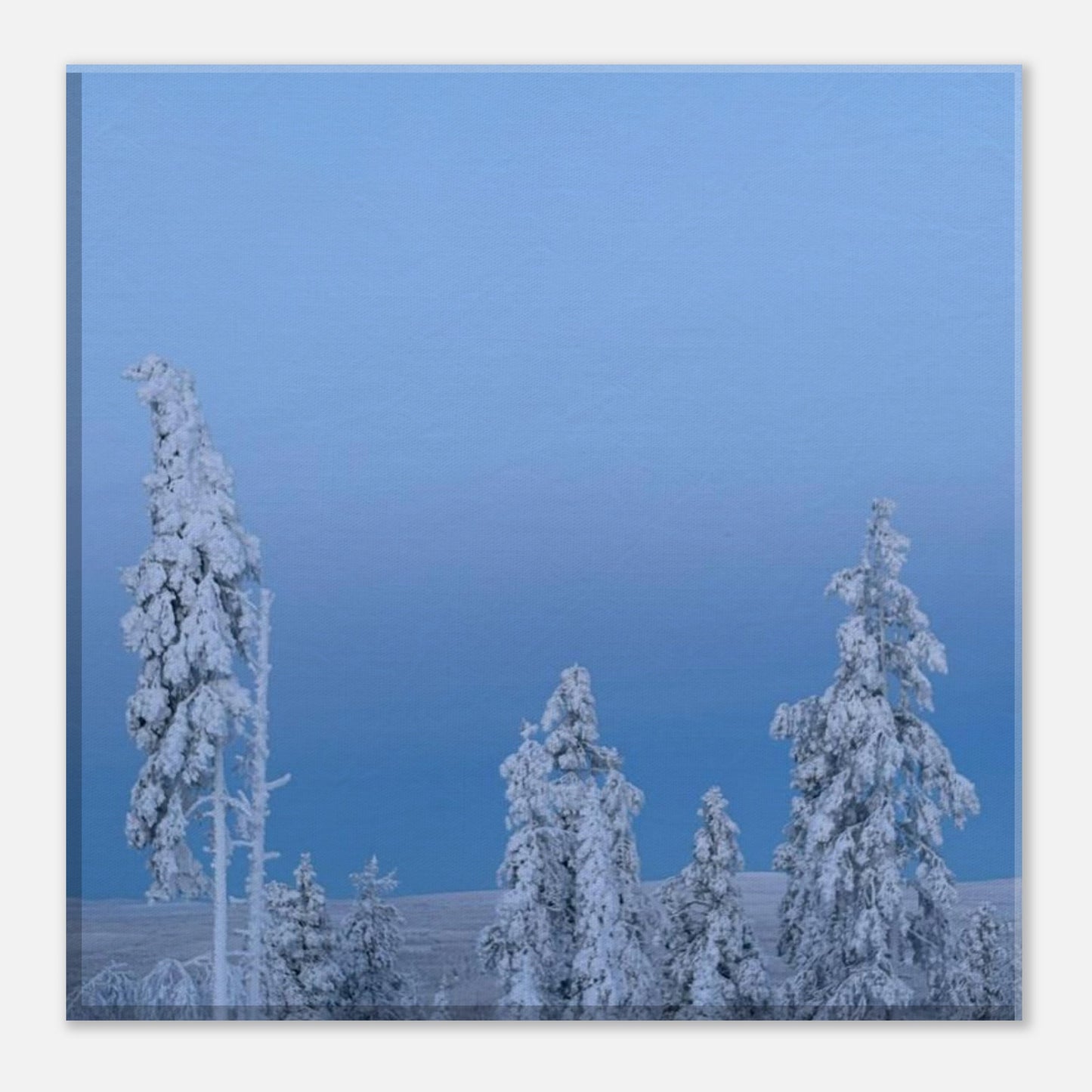 Nordisk vinterlandskap canvas med snötäckta träd i minimalistisk stil
