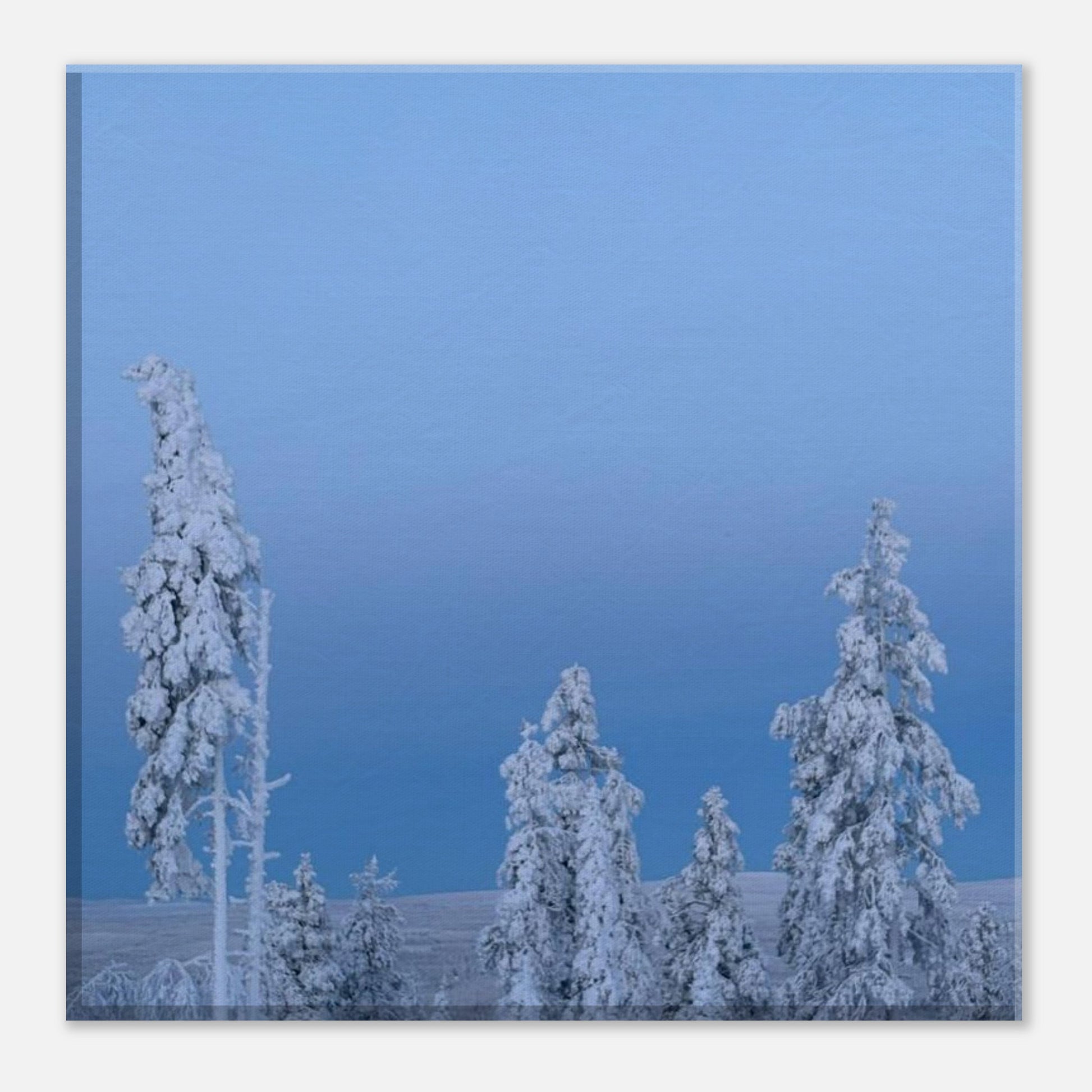 Nordisk vinterlandskap canvas med snötäckta träd i minimalistisk stil
