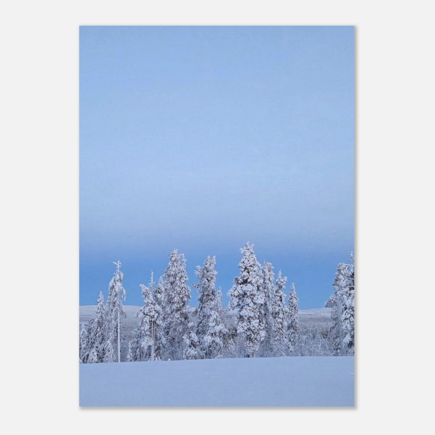 Nordisk snöträd poster i museikvalitet med minimalistisk estetik
