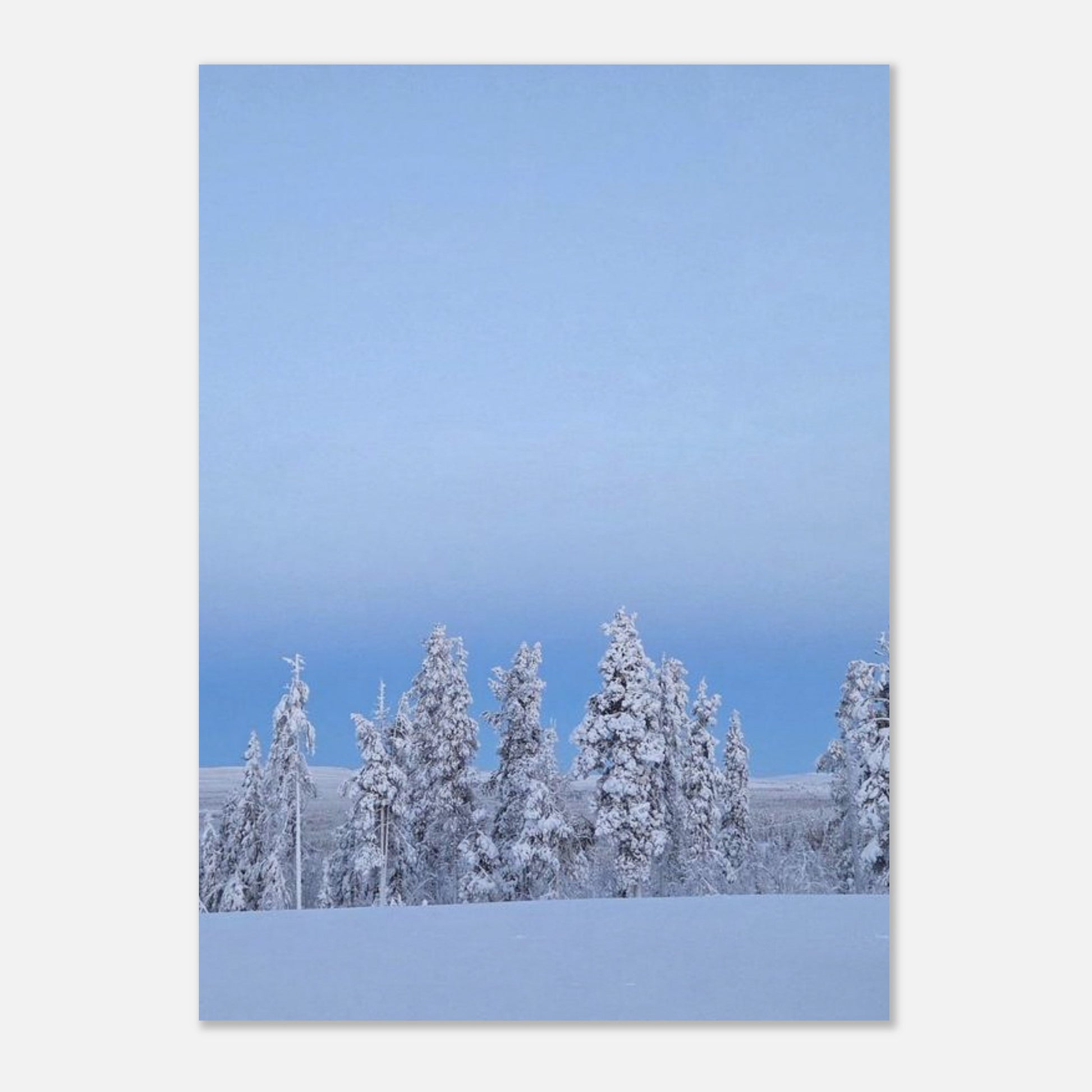 Nordisk snöträd poster i museikvalitet med minimalistisk estetik
