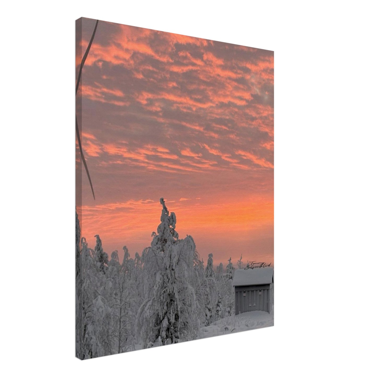 Nordisk vintersoluppgång canvas med magiskt ljus över snölandskap
