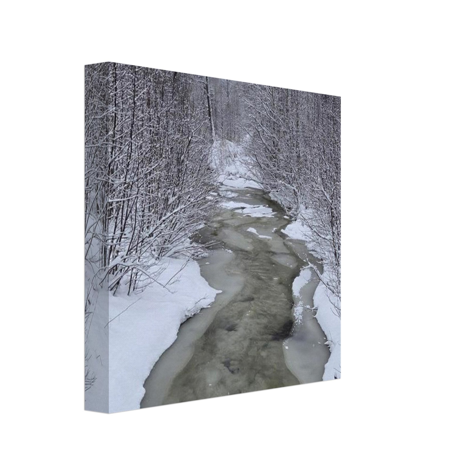 Nordisk skogsbäck canvas med is och snö i atmosfärisk naturscen
