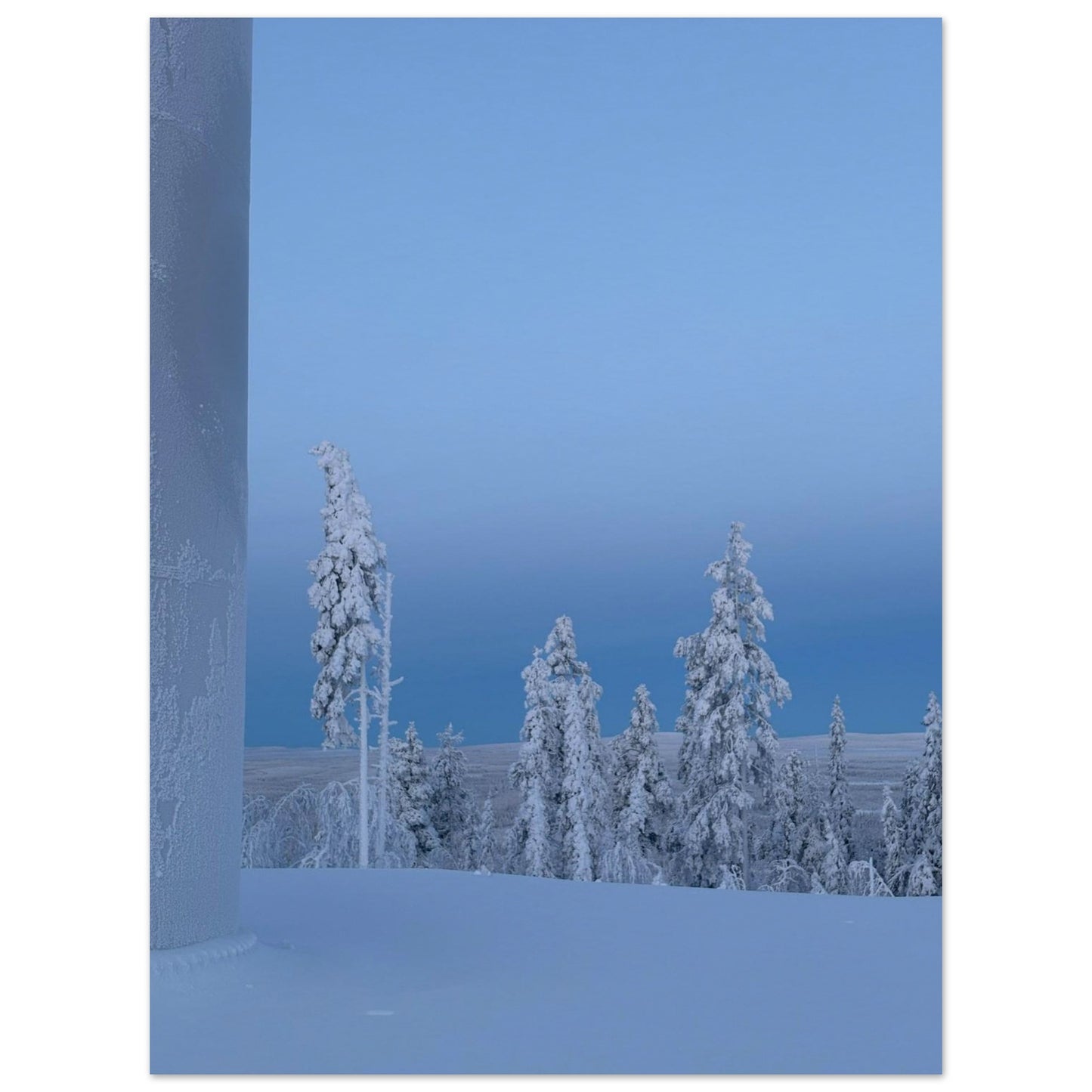 Nordisk vinterlandskap poster i museikvalitet med mjuka naturtoner
