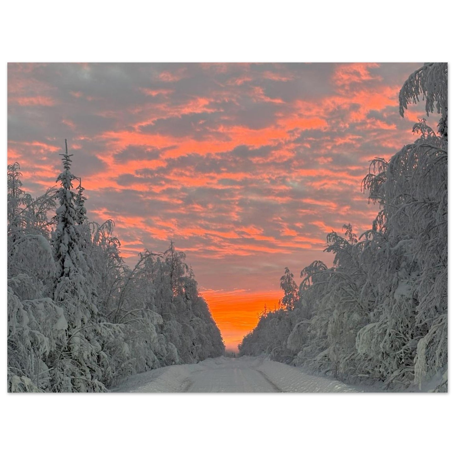 Nordisk soluppgång fine art poster med rika färger och 12-färgstryck
