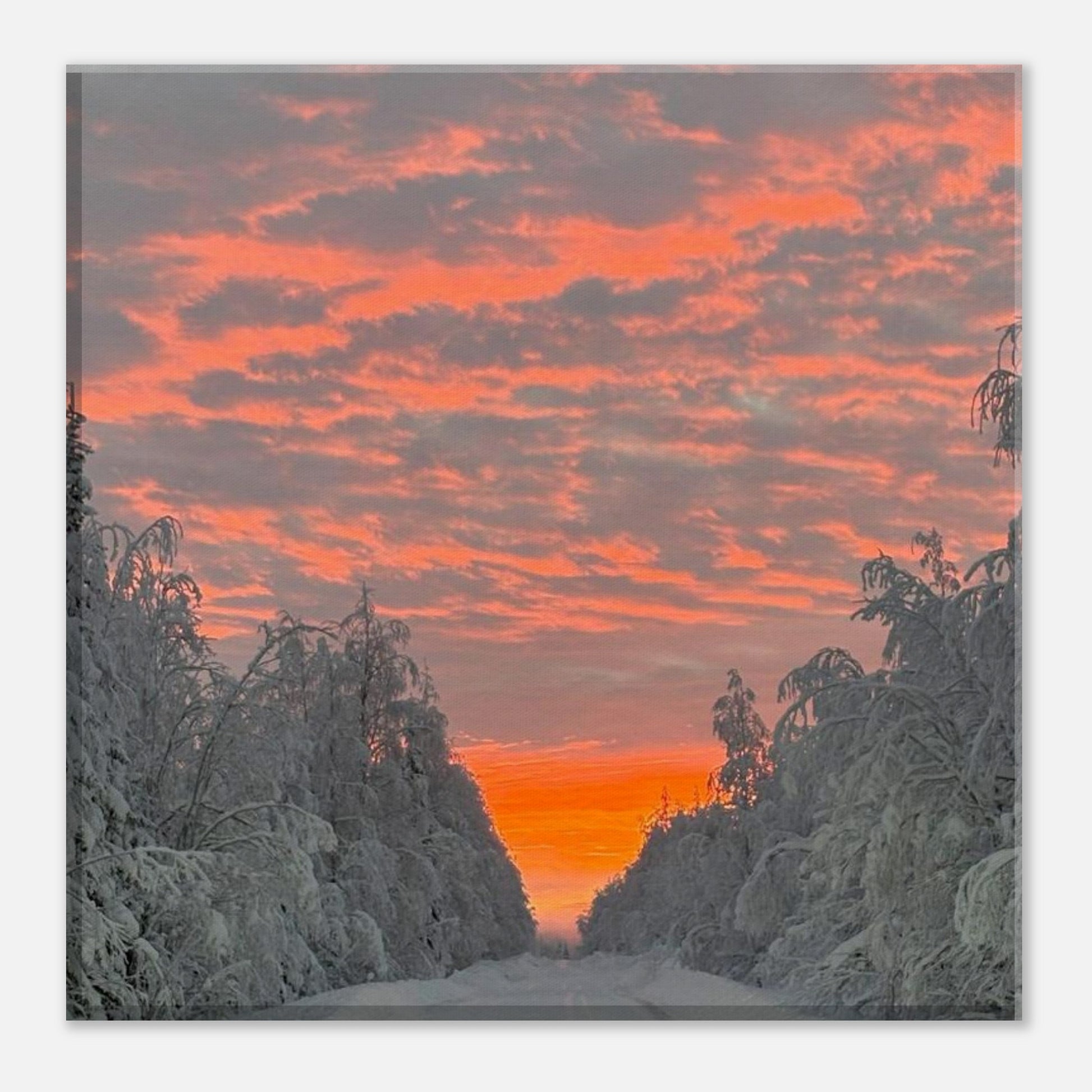 Nordisk soluppgång canvas med levande färger och varm morgonhimmel
