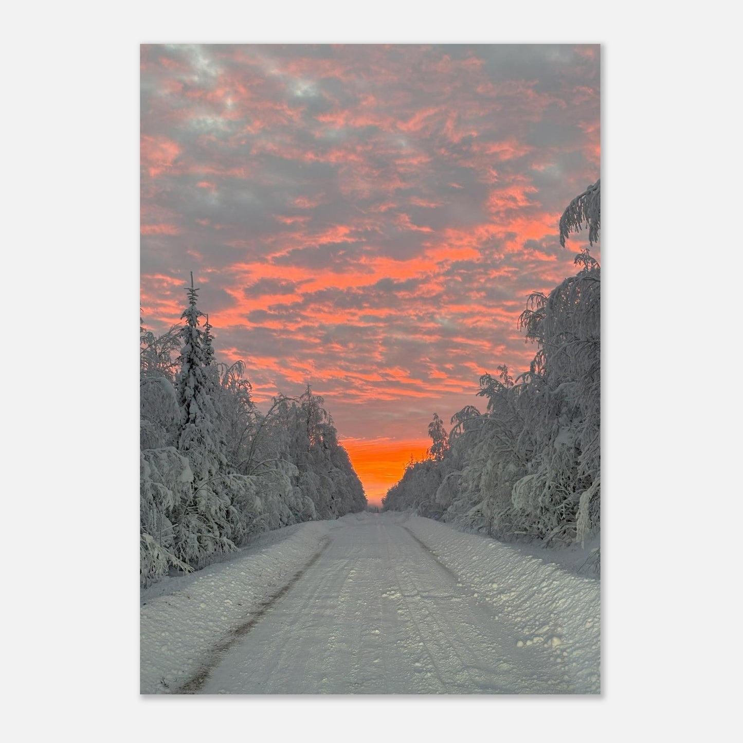Nordisk soluppgång fine art poster med rika färger och 12-färgstryck
