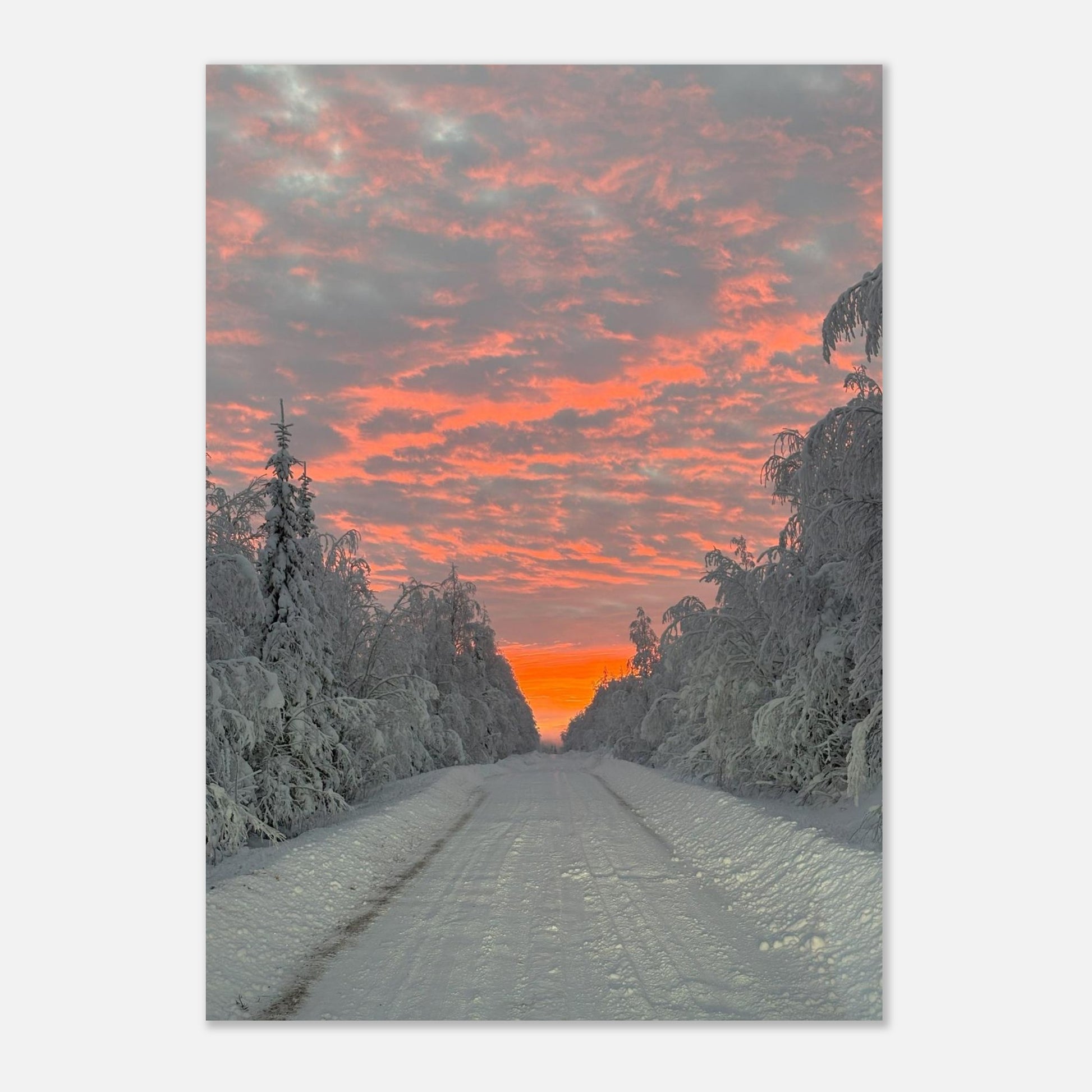 Nordisk soluppgång fine art poster med rika färger och 12-färgstryck
