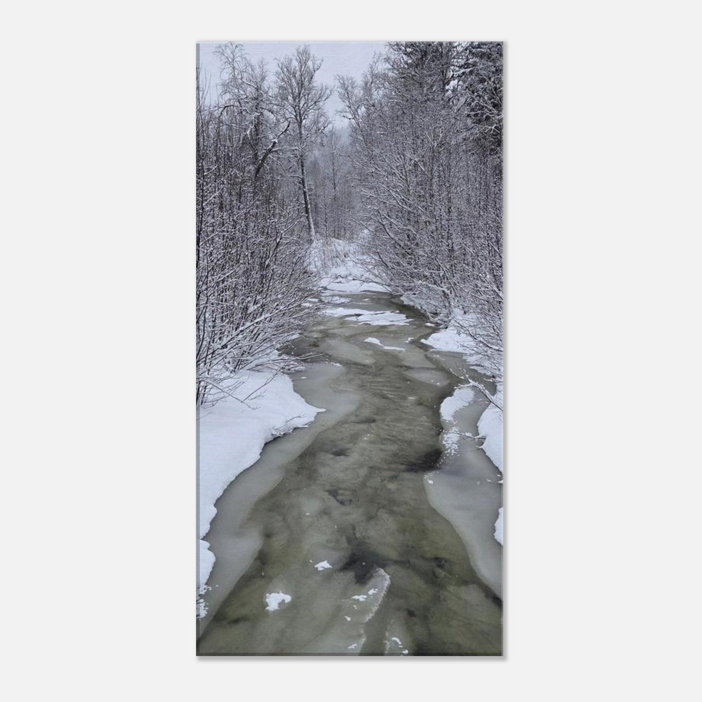 Nordisk skogsbäck canvas med is och snö i atmosfärisk naturscen

