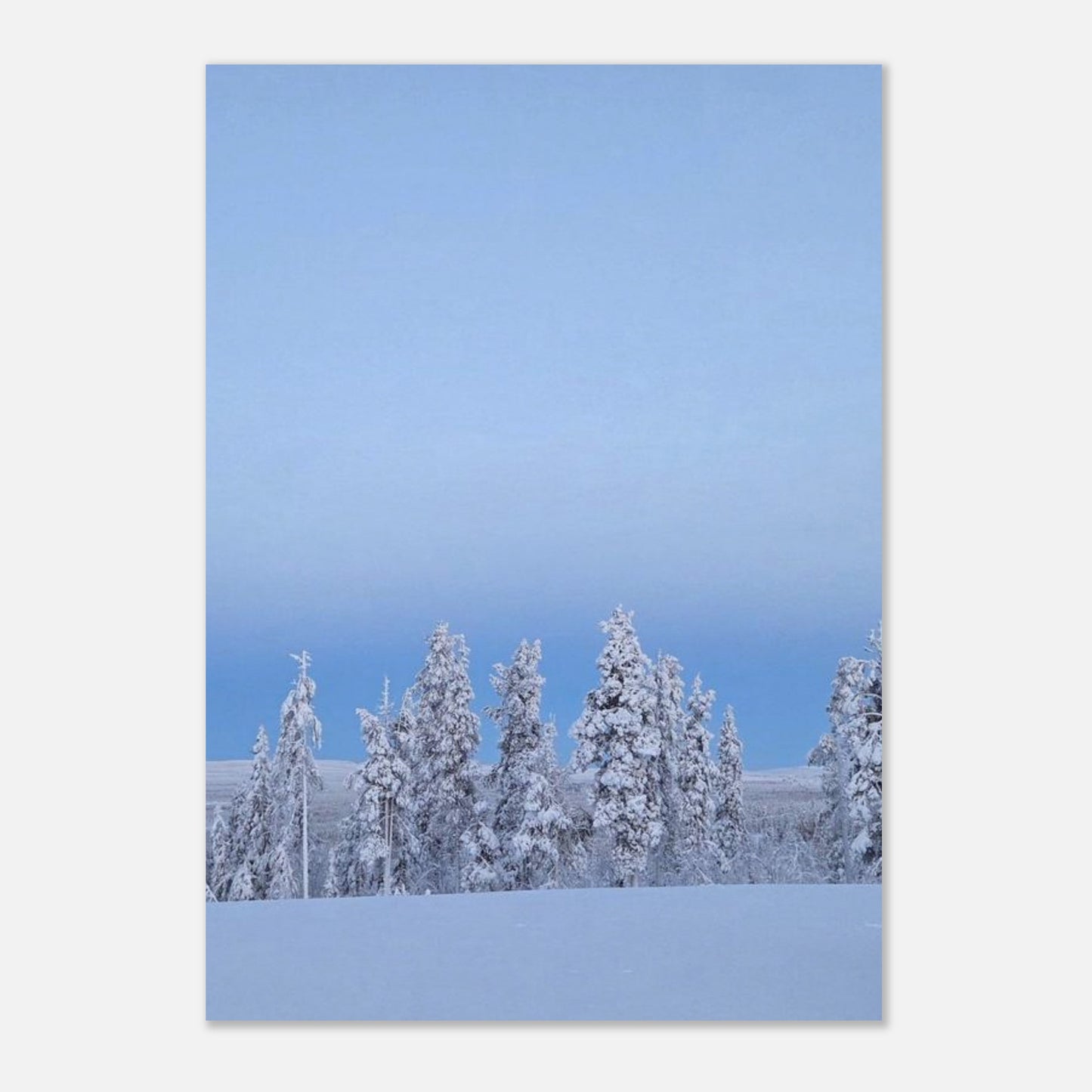 Nordisk snöträd poster i museikvalitet med minimalistisk estetik
