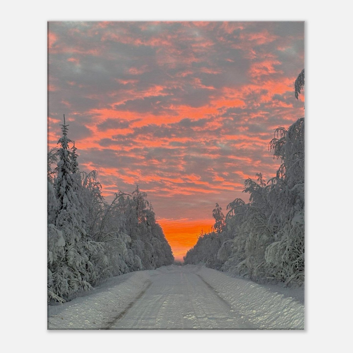Nordisk soluppgång canvas med levande färger och varm morgonhimmel
