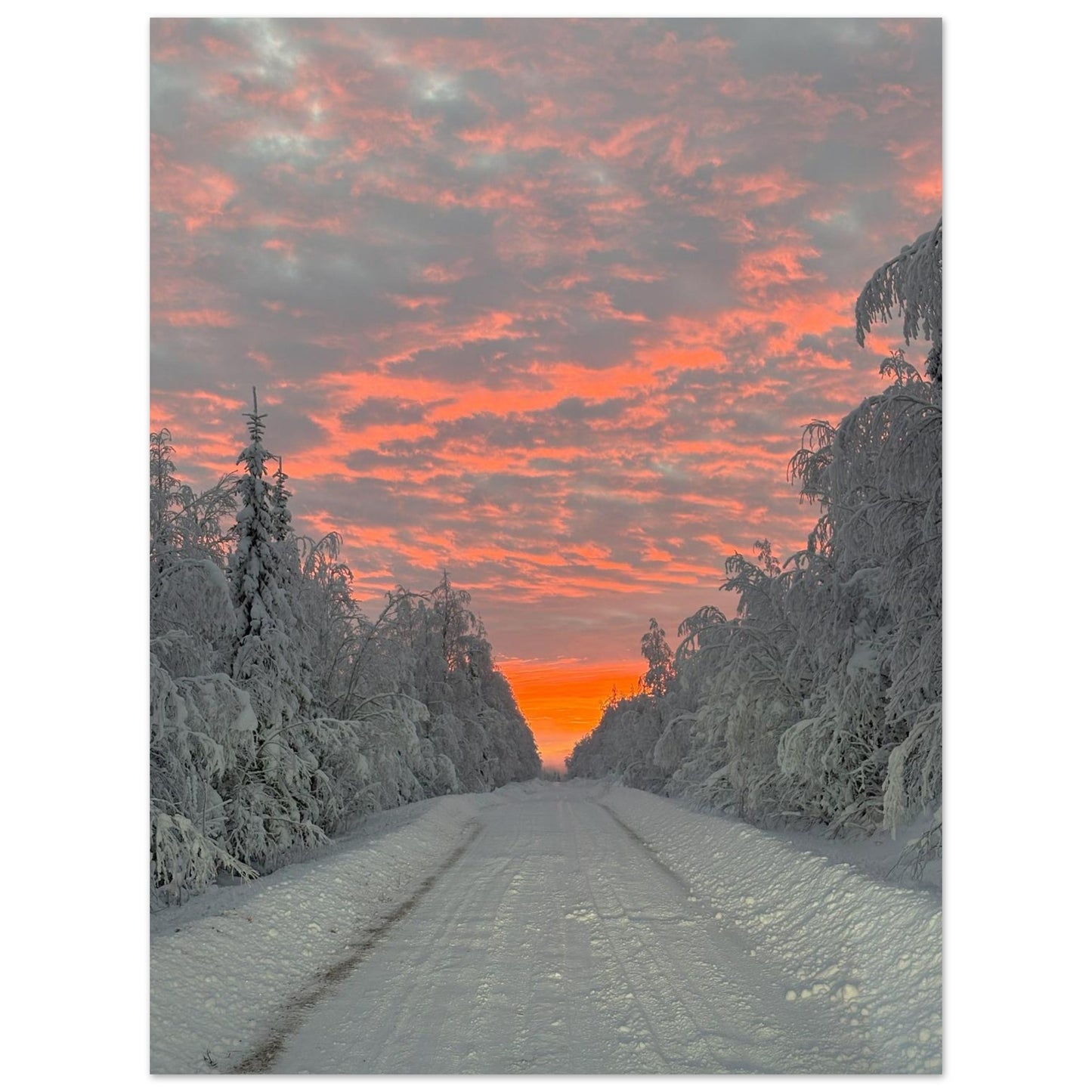 Nordisk soluppgång fine art poster med rika färger och 12-färgstryck
