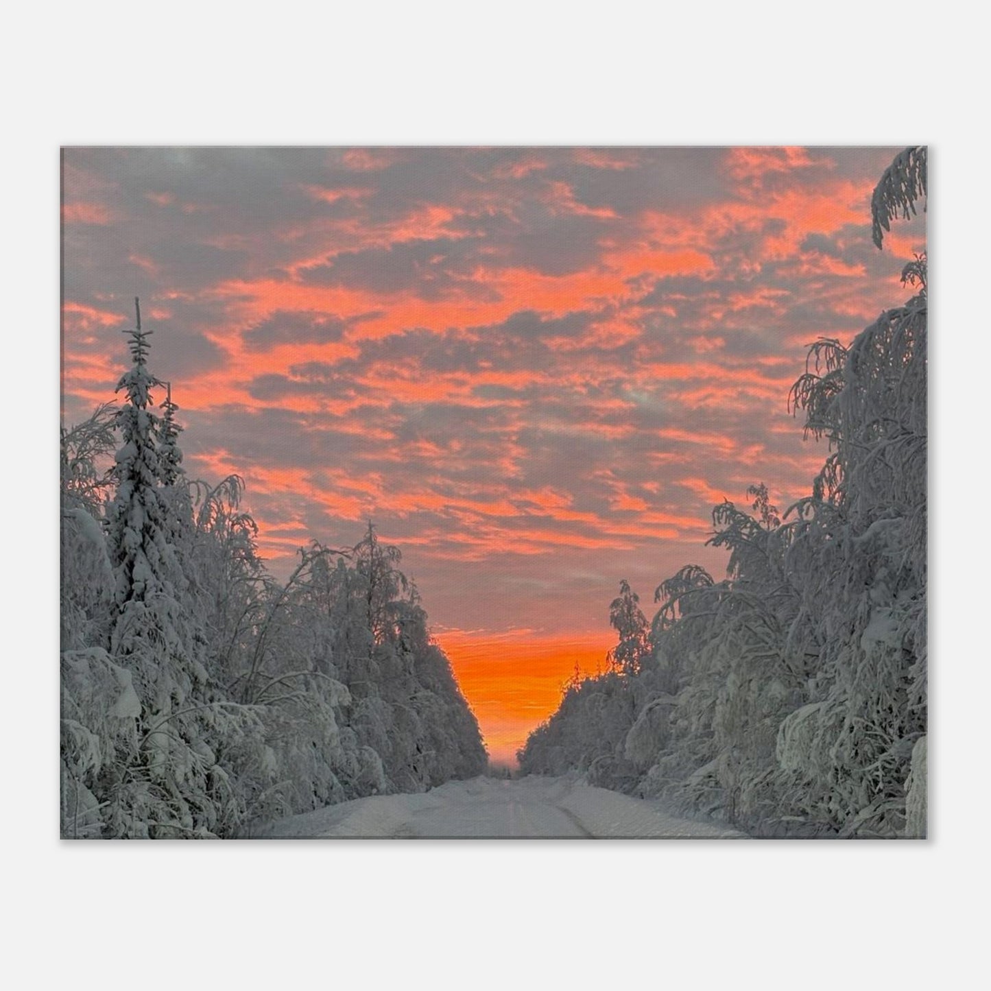 Nordisk soluppgång canvas med levande färger och varm morgonhimmel
