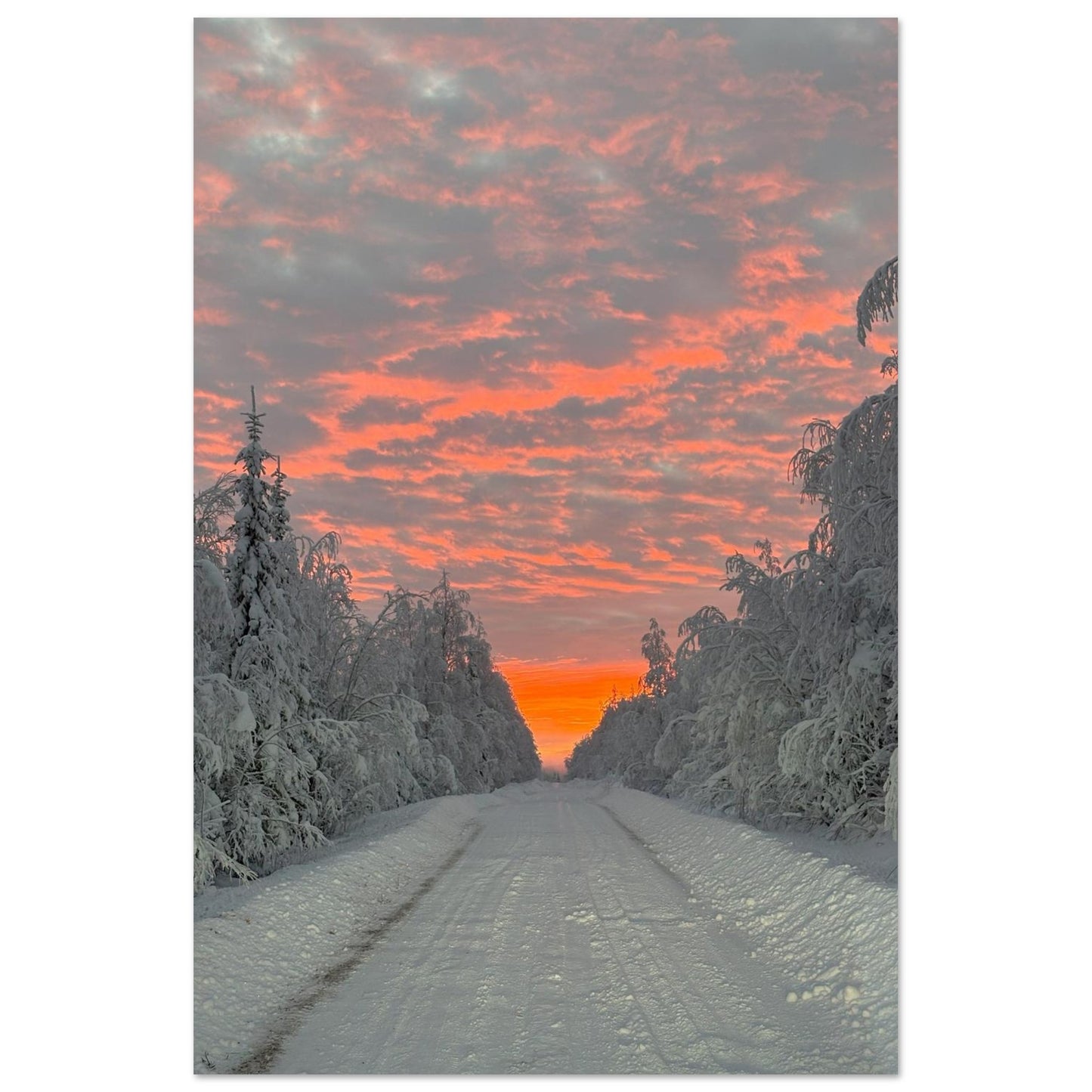 Nordisk soluppgång fine art poster med rika färger och 12-färgstryck
