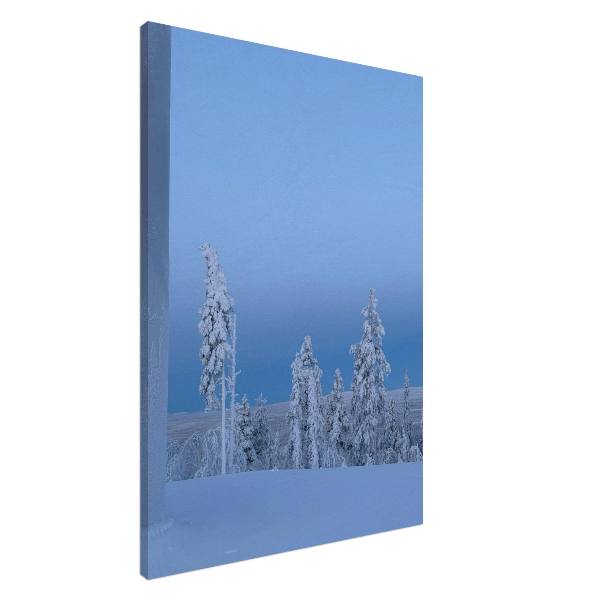 Nordisk vinterlandskap canvas med snötäckta träd i minimalistisk stil
