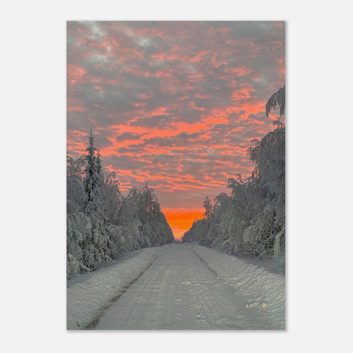 Nordisk väg poster i museikvalitet med ljusets spel i landskapet
