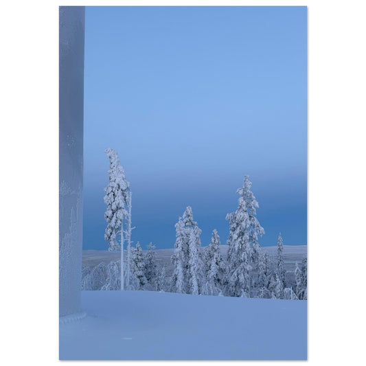 fe207165-8eff-4935-aff0-0c43439ba09e