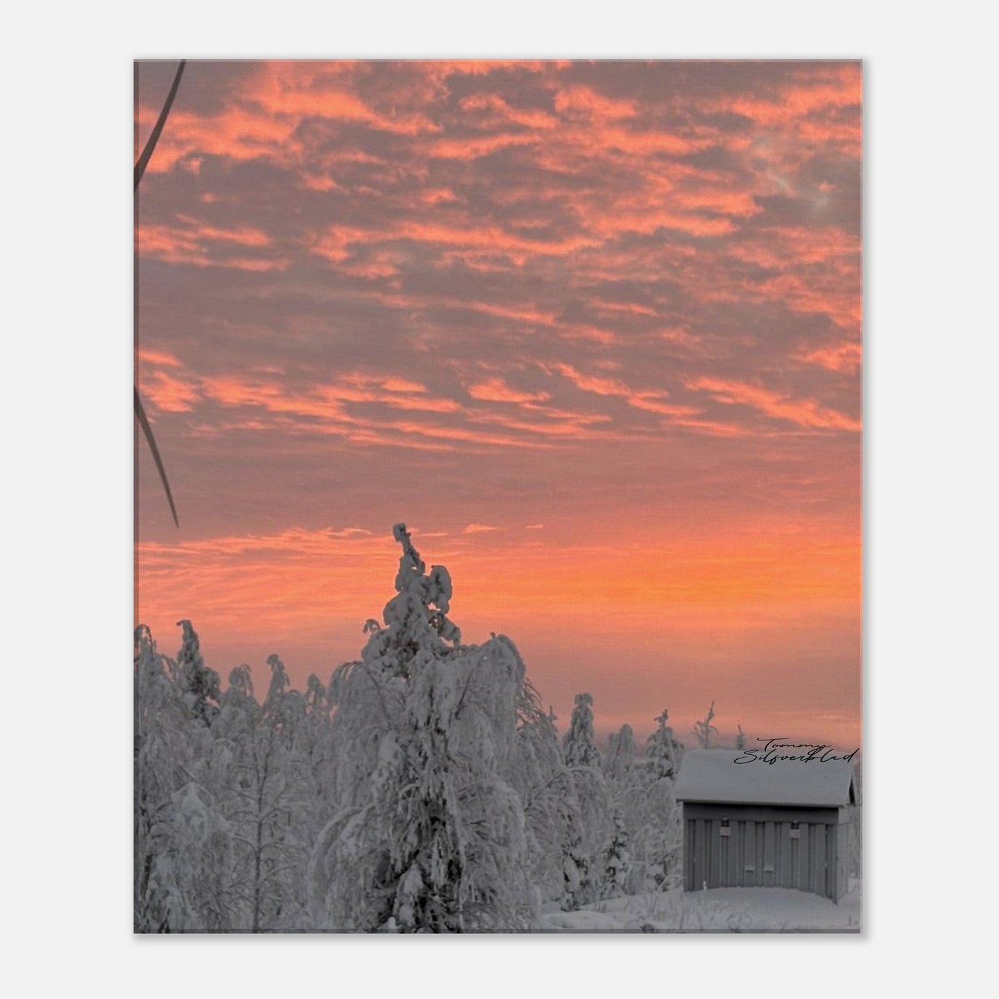Nordisk vintersoluppgång canvas med magiskt ljus över snölandskap
